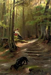 Un coin ensoleillé dans les bois
